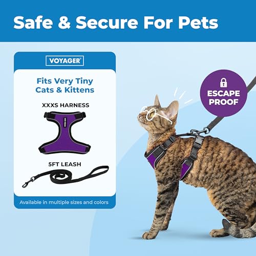 Image of Voyager Escape-Proof Step-in Lock Cat Harness & 5ft Neoprene-Handle Leash Set All-Weather Mesh with Reflective Stitching for Small to Large Cats by Best Pet Supplies, Black Trim-Purple (327), XXXS