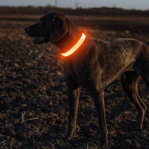 Collier LED pour chien pour éviter les dangers de la nuit réglable - 8