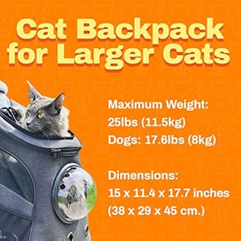 fat cat backpack