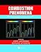 Produktbild Combustion Phenomena: Selected Mechanisms of Flame Formation, Propagation and Extinction