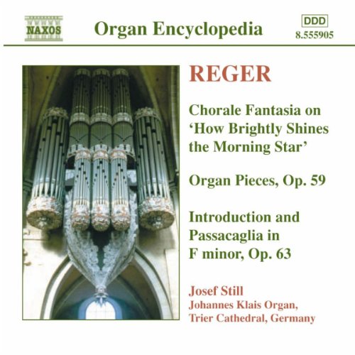 Reger: Organ Works, Vol. 4 - Chorale Fantasia On Wie Schon Leucht Uns Der Morgenstern / Organ Pieces