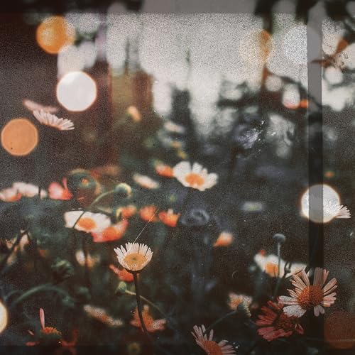 illi mel feat. Sonant