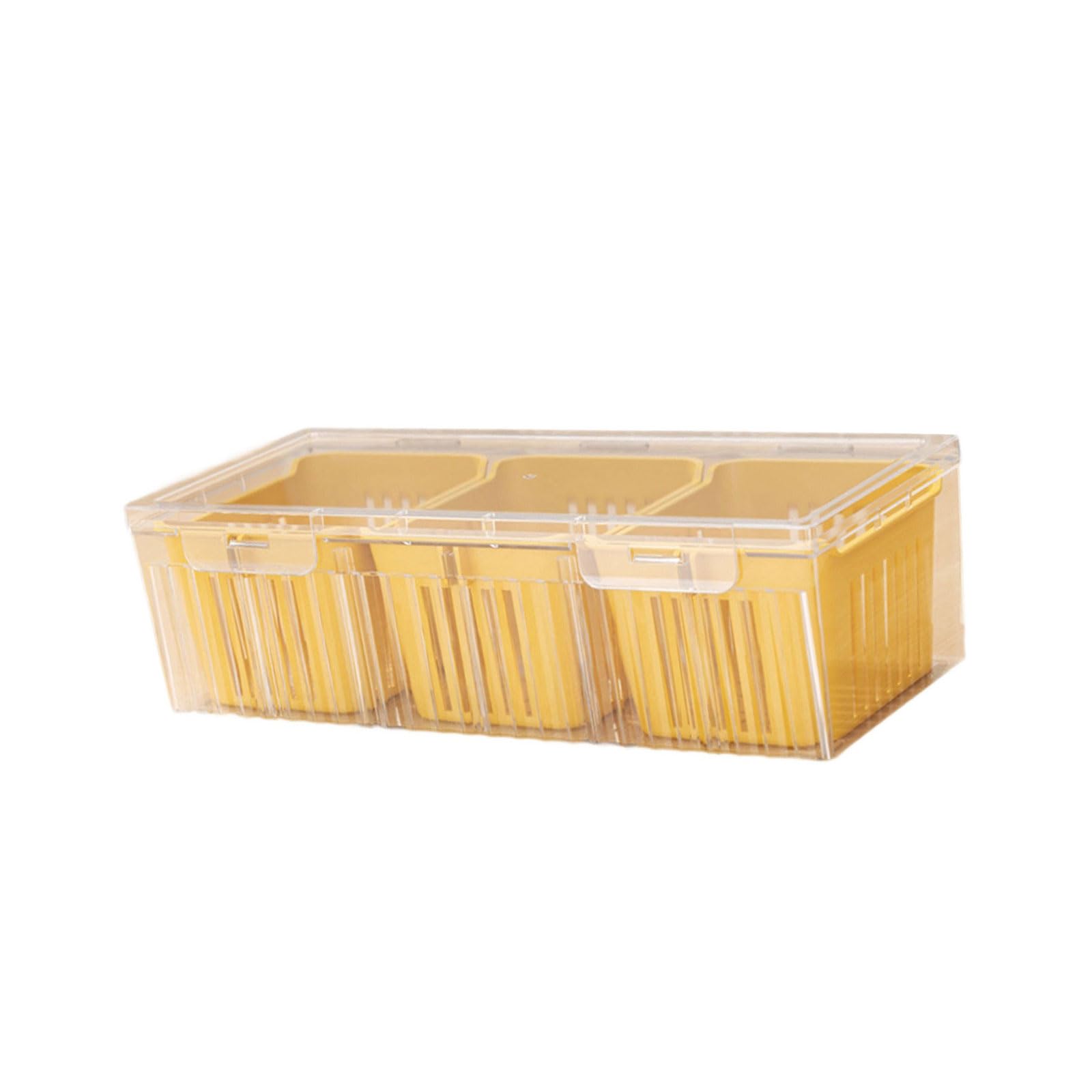 HZBB Refrigerator Food Storage Container Garlic Vegetable Dispenser for Food Cooking Ingredients Organizers Vegetable Storage Box with Drainage Holes