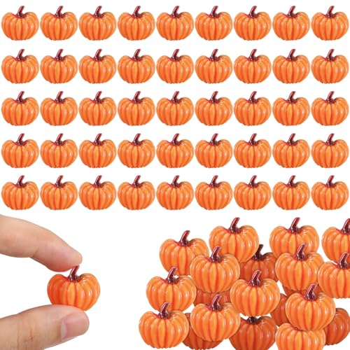 Leinuosen 60 Pcs Fall Pumpkin Mini Flatback Resin Charms Autumn Thanksgiving Halloween...