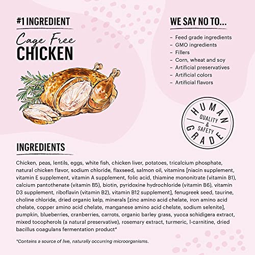 Image of The Honest Kitchen Whole Food Clusters Grain Free Chicken & Fish Dry Cat Food, 1 lb Trial Pouch (Pack of 2)