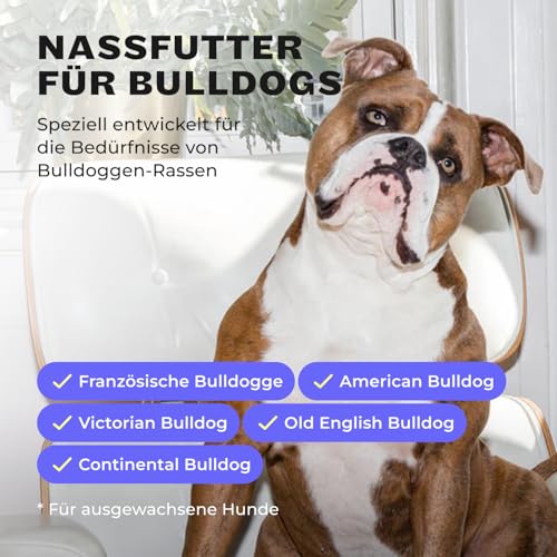 HEY HOLY Premium Nassfutter für Bulldoggen | 6X 375g Hundefutter für ausgewachsene Bulldoggen mit Lachs | Hochverträglich aus natürlichen Zutaten