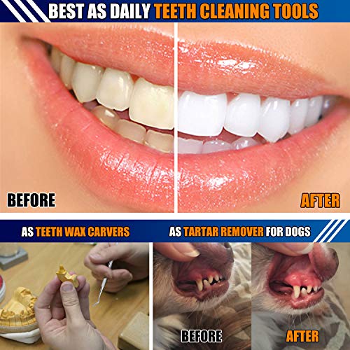 Dental Tools, 6 Pack Teeth Cleaning Tools Stainless Steel Dental Scraper Tooth Pick Hygiene Set with Mouth Mirror, Tweezer Kit for Dentist, Family Oral Care, Dogs - with Leather Case