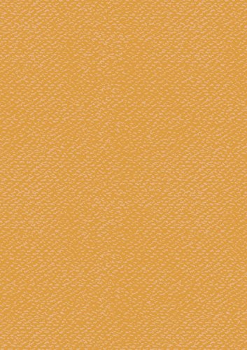 HEYDA Bastelkarton, DIN A4, 220 g qm, mittelorange