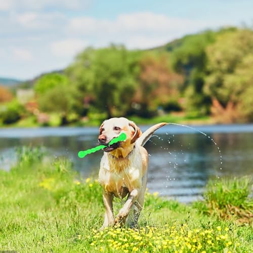 Nivofu Robustes Kauspielzeug für Hunde, Hundespielzeug aus Gummi, Hundezahnbürste, Zahnen Kauen Spielzeug, Zahnreinigungsspielzeug, Putzstab für mittlere und große Hunde und kräftige Kauer, Grüner