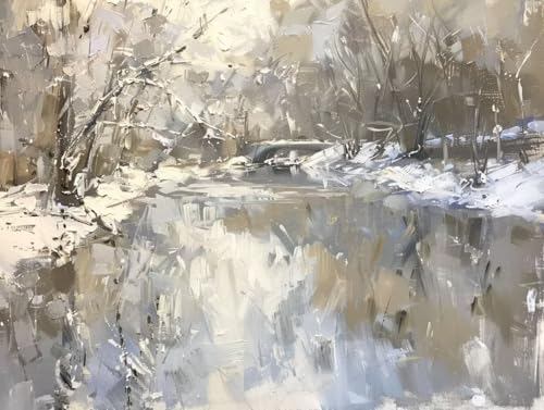 Finis l'Ennui et le Stress grâce au Grand Diamond Painting Paysage de Neige 5D DIY C-474