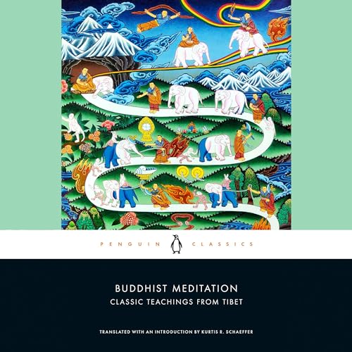 Buddhist Meditation by Kurtis R. Schaeffer episode artwork