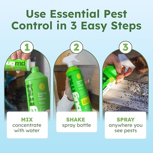 Image of BugMD Ant Killer & Bug Spray Concentrate - Indoor Cockroach and Roach Killer, Spider Spray for Home, Fly and Insect Defense, Essential Oils, Plant-Powered, Eco-Friendly Pest Control - 3.7 Oz