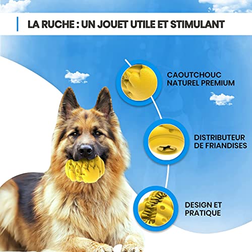QUEEN & HUNTER Jouet Chien Occupation | Jouet pour Chien Indestructible | Balle Chien | Jouets pour Chiens | Distributeur de Friandises | Jouet à mâcher interactif – Image 3