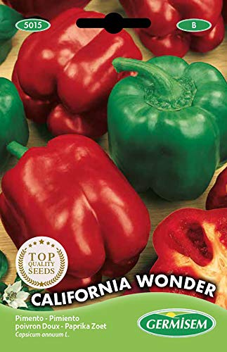 Germisem graines Poivron doux CALIFORNIA WONDER