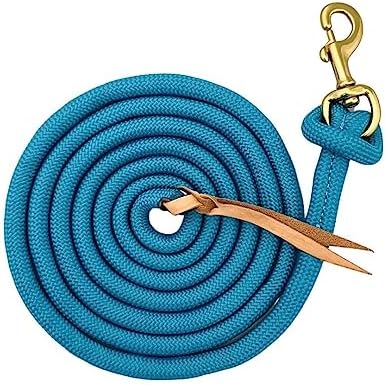 Cowboy Horse Lead Rope 10'x 5/8" Leather Popper Nylon Brass Bolt Snap Turquoise