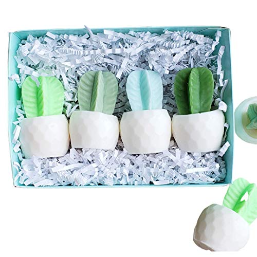 Cactus Handmade Soap Gift Set Women for Garden Lovers / Birthday / Christmas / Under 30