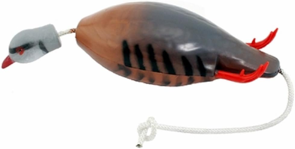 Dokken Dead Fowl Chukar Partridge Hunting Dog Retriever Trainer : Hunting Dog Equipment : Sports & Outdoors