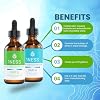1ness Chlorine Dioxide Kit - Set Hydrochloric Acid 4% (HCl) : Sodium Solution 28% (2oz Bottle A + 2oz Bottle B)