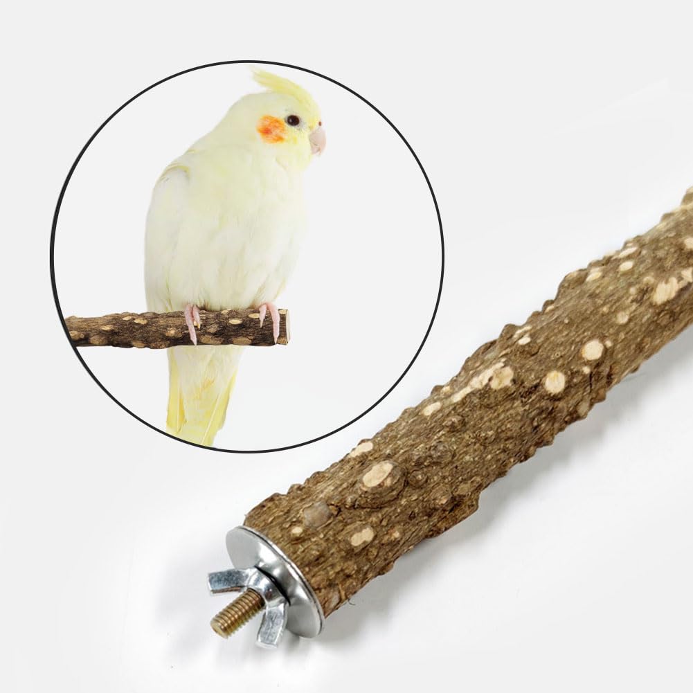 Posatoi per Uccelli, Posatoi per Pappagalli, Posatoi in Legno, 4 Pezzi Legno Natural per Parrot, Legno di Pappagallo, Adatto per Fringuelli, Canarini, Pappagalli, Calopsitte, Parrocchetti