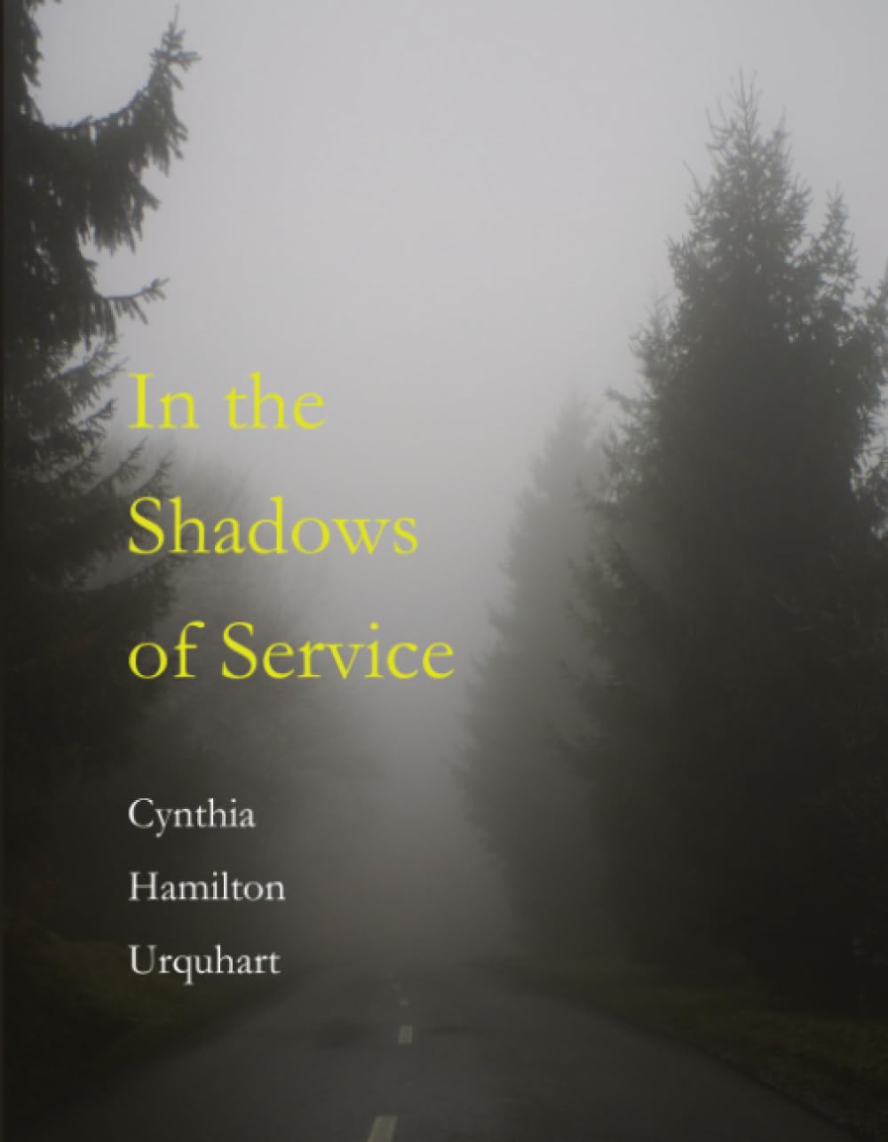 In the Shadows of Service
