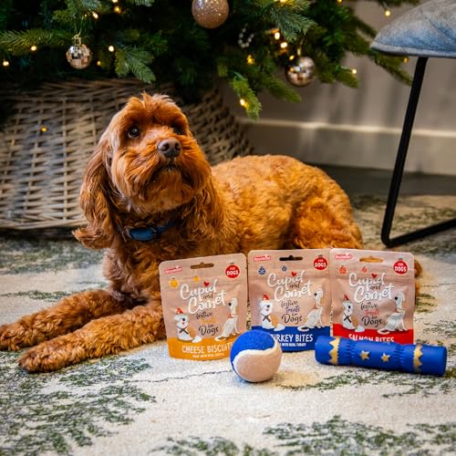 Rosewood Cupid & Comet Weihnachts-Strumpf für Hunde – Festliche Leckerlis & 2 Spielzeuge – Weihnachtliches Geschenkset für glückliche Vierbeiner