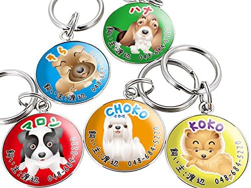 Amazon Co Jp 迷子札カラー 犬のイラスト 名入れ 目立つpopでカラフルなお洒落な迷子札でお散歩が楽しくなる 文房具 オフィス用品