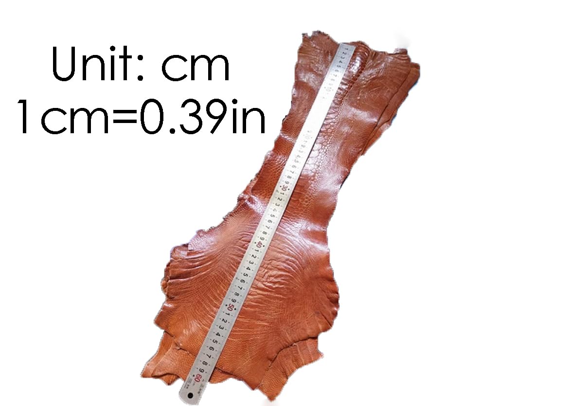 Amazon.com: Genuine Ostrich Leg Skin Leather Hide Craft Nature 