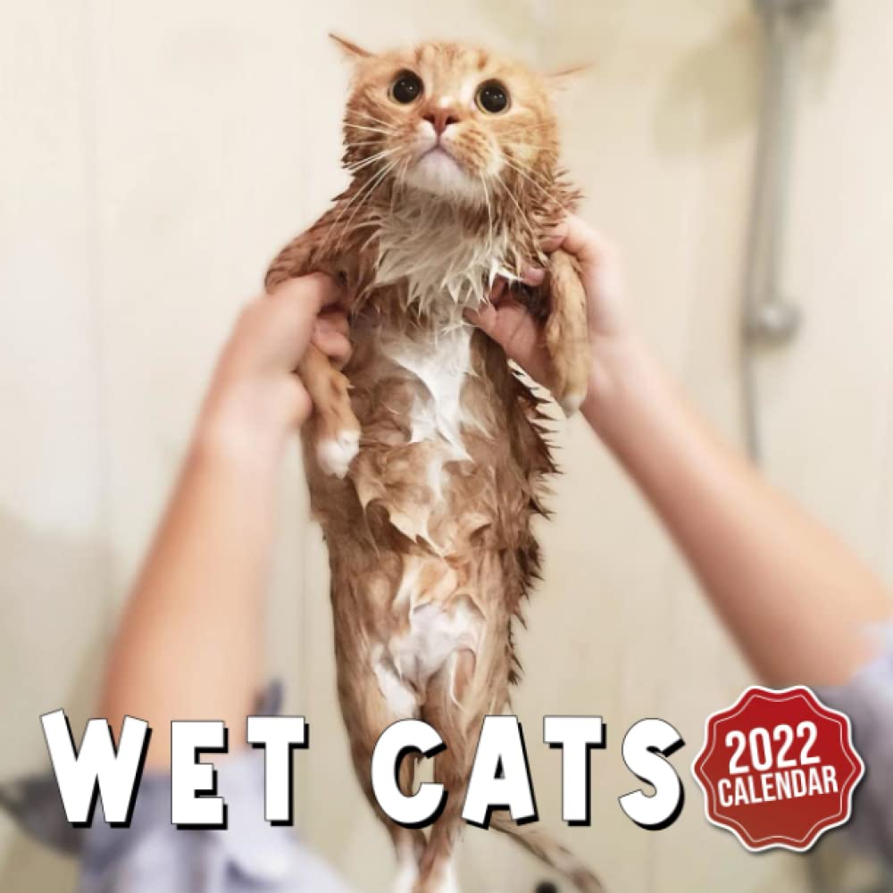 Wet Cats 2022 Calendar: Squared Monthly Calendar Bonus 4 Months 2021 with Funny Wet Cat Photos