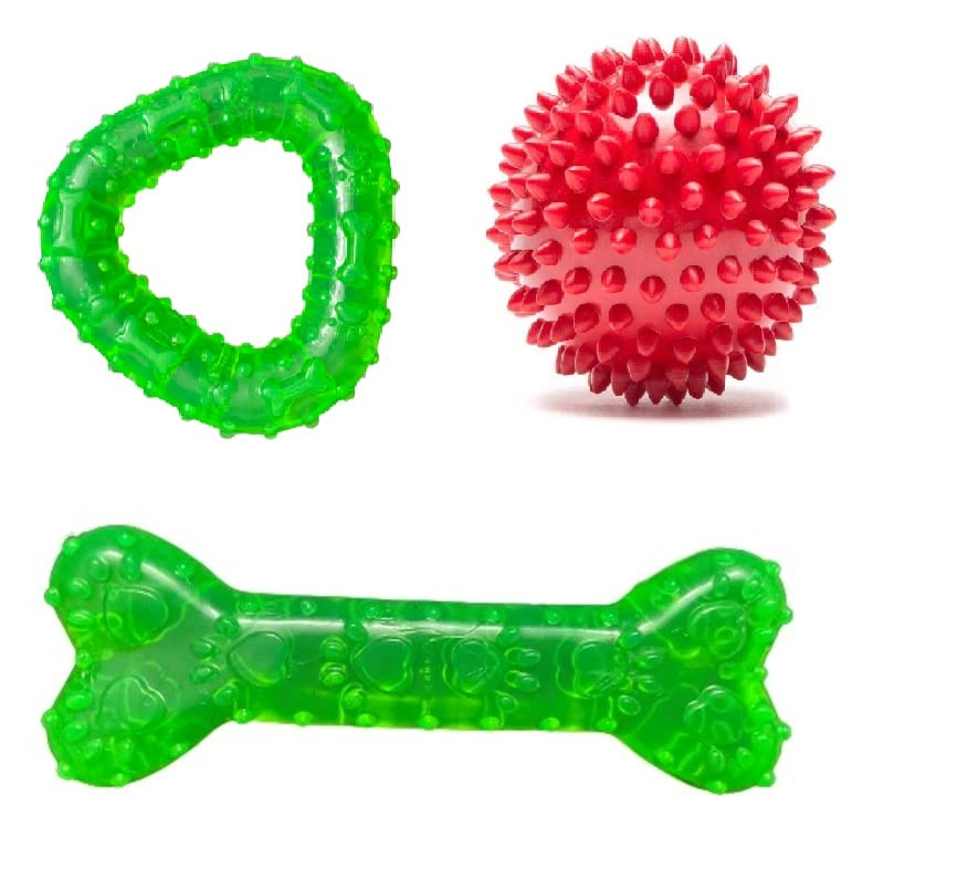 JUSTKIDDING Gel Hard Transparent Bone + Ball +Teether Toy Combo Pack of 3 for Small/Medium/Puppy/Large Breed (Gel Transparent Paw Print Bone + Spike Ball + Triangular Teether)