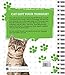 Brain Games - Cats Word Search Puzzles