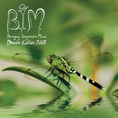 B.I.M.Basic Edition 2008