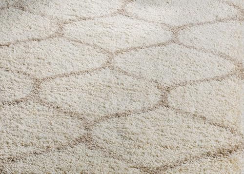 Image of Shaggy Carpet for Home 12 x 16 Feet Ultra-Soft, Thick, and Stylish Shag Texture Ideal for Living Room, Bedroom, or Office - Easy to Clean and Perfect (IvoryBeige)