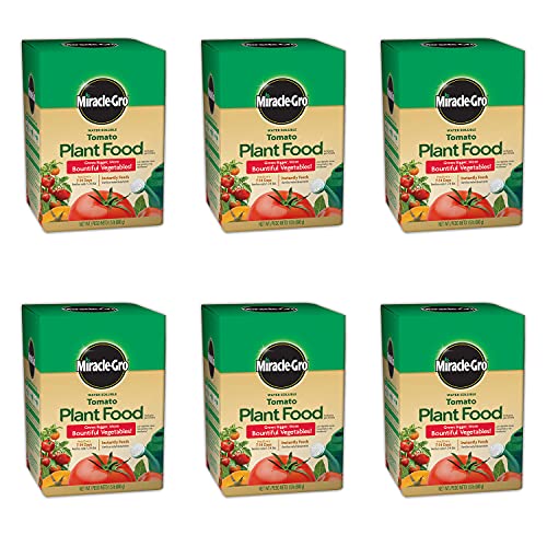 Top 10 Best Plant Food For Tomatoes Reviews & Buying Guide Katynel