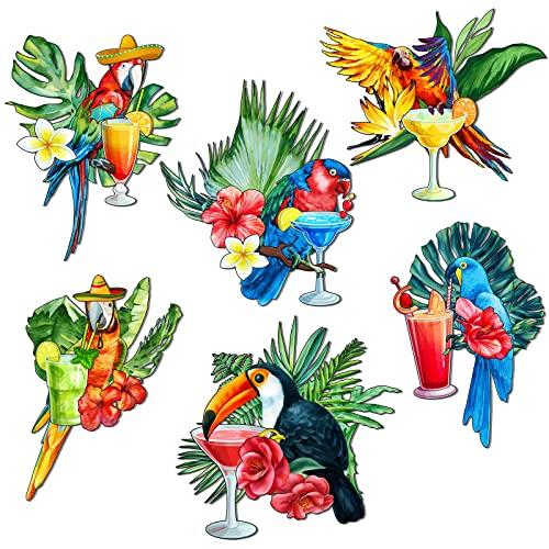 Set de 6 imanes decorativos de loro tropical para puerta