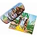Wizard of Oz Dorothy Tinman Scarecrow Lion Emerald City eye sun glasses Eyeglass Storage Case & Cleaning cloth