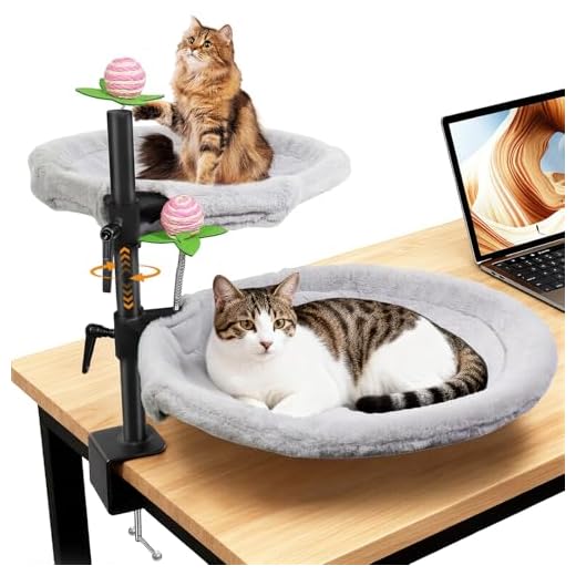 Double Cat Desk Bed with Adjustable Mount