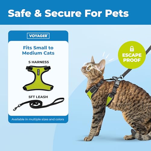 Image of Voyager Escape-Proof Step-in Lock Cat Harness & 5ft Neoprene-Handle Leash Set All-Weather Mesh with Reflective Stitching for Small to Large Cats by Best Pet Supplies, Black Trim-Lime (327), S