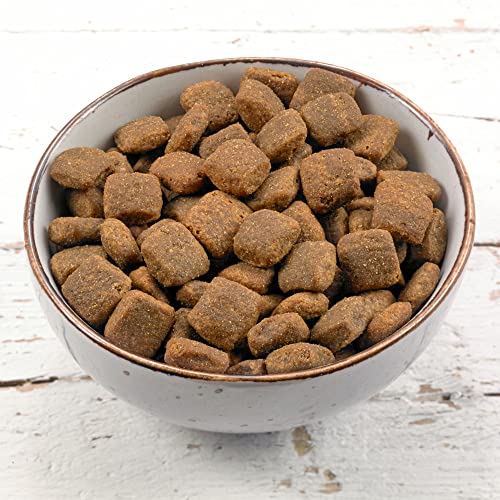 GRAU – das Original – Trockenfutter für Hunde - Forelle mit Kartoffeln (1 x 3 kg), getreidefrei, für Sensible, Erwachsene Hunde