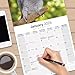 African Greys Calendar 2025 | Square Bird Wall Calendar - 16 Month