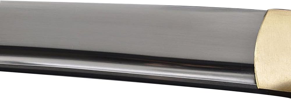 Handmade Sword - Fully Practical Samurai Tanto Sword, Dragon Tsuba, 1080 Carbon Steel, Hand Forged Heat Tempered, Full Tang, Sharp, Back Scabbard, Certificate