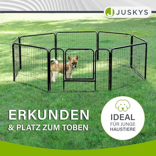 Juskys Welpenauslauf - Welpenlaufstall 8-teilig aus Metall- Freigehege mit Tür - Welpengitter für Hunde, Hasen & Kleintiere (160x160x60 cm)