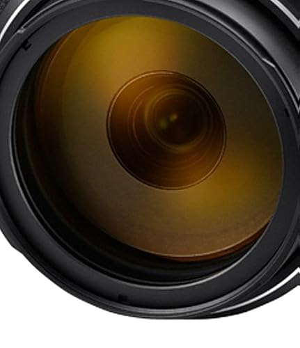Amazon.com : NIkon COOLPIX P1000 Superzoom Digital Camera | 125x