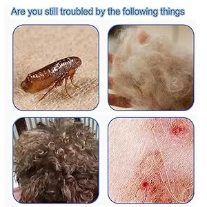 Stainless Steel Pet-Combs for Cats and Dogs, Fine Tooth Grooming Tool, Anti-Flea Combs with Non-Slip Handle, Tear Stains Remover, Blue Stainless Steel Pet Combs for Cats and Dogs Fine Tooth Grooming Tool Anti Flea Combs with Non Slip Handle Tear Stains Remover Blue