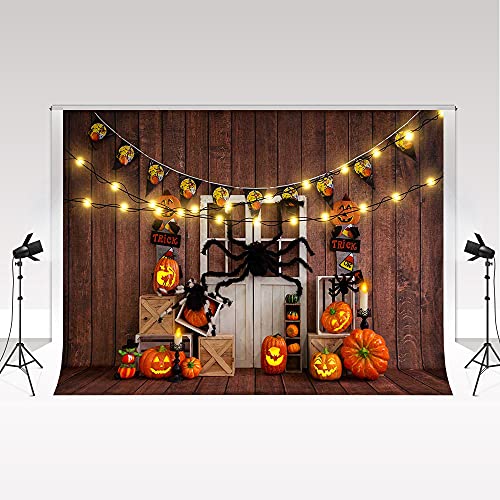 Kate Halloween Photography Backdrop 7x5ft/2.2x1.5m Horrible Pumpkin Spider Photo Studio Background for Costume Dress-up Party Photo Studio Props