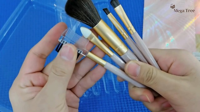 Watch 5 in 1 makeup brushes set overview on Amazon Live