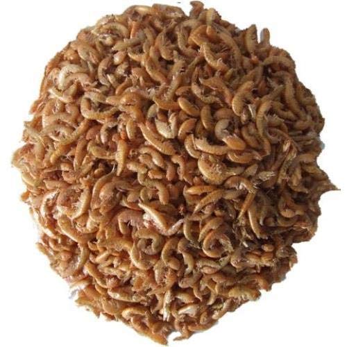 Gammarus Bachflohkrebse Fischfutter FD Reptilienfutter Vogelfutter Nagerfutter (5 kg)