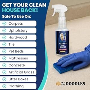 We Love Doodles Pet Stain & Odor Remover, Dog Urine Enzyme Cleaner, Organic Enzymatic Ingredients, Pee Spray Eliminator For Carpet, Made in USA, Professional-Grade Kid & Pet-Friendly, 16 oz