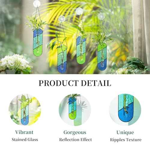 Cadeau pour décoration de fenêtre avec ce lot de 2 pots hydroponiques en verre coloré