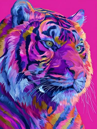  G LbghG h DIYG fW^G ۓI p^[fUC, yCgoCio[ SҌ ȒP paint by numbers uVƃANG̋, z[ ItBX 60X80cm, Model 864