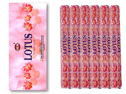 HEMiwj/XeBbN/vVX[^X/1P[Xi120{×6j